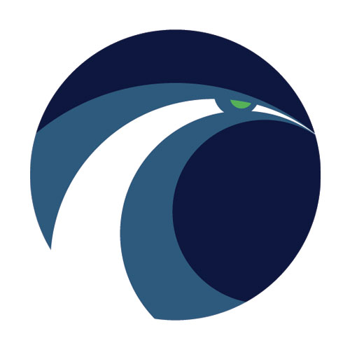 Seattle Seahawks Clip Art Seattle Seahawks Clip Art