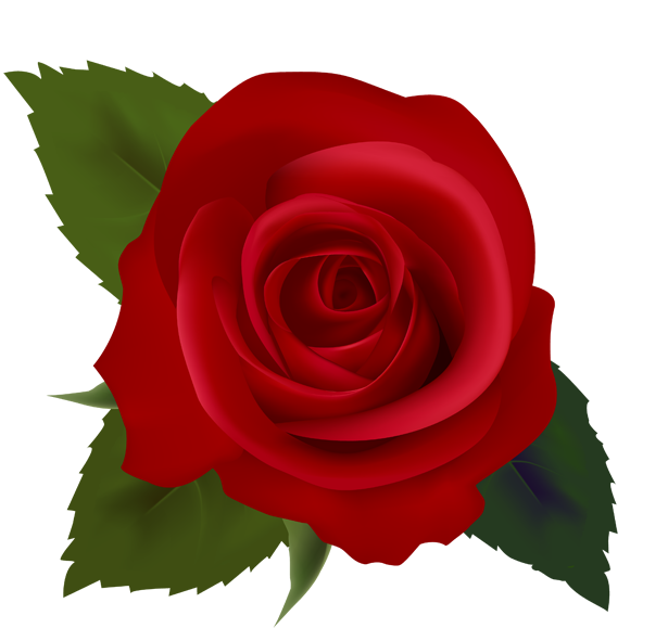 rose clip art download - photo #4