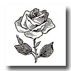 Black Rose Clip Art 