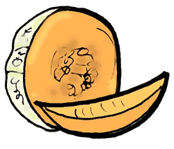 Full Version of Sliced Cantaloupe Clipart 