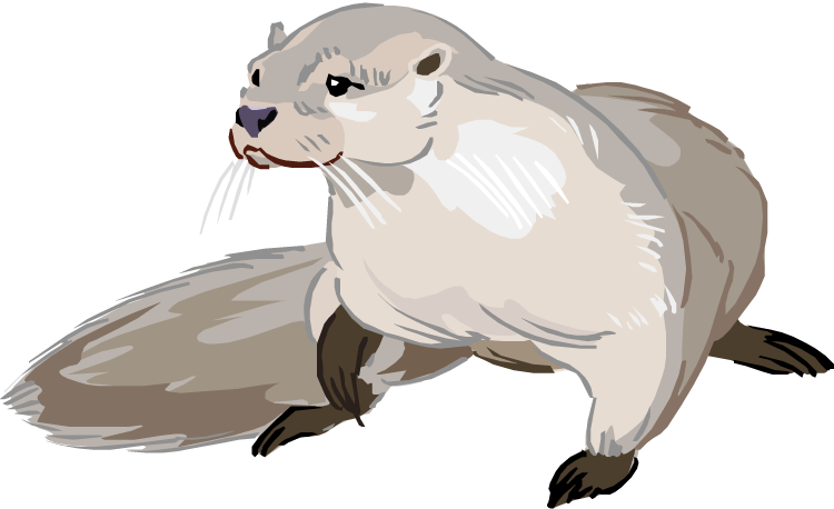 Free Otter Cliparts, Download Free Otter Cliparts png images, Free