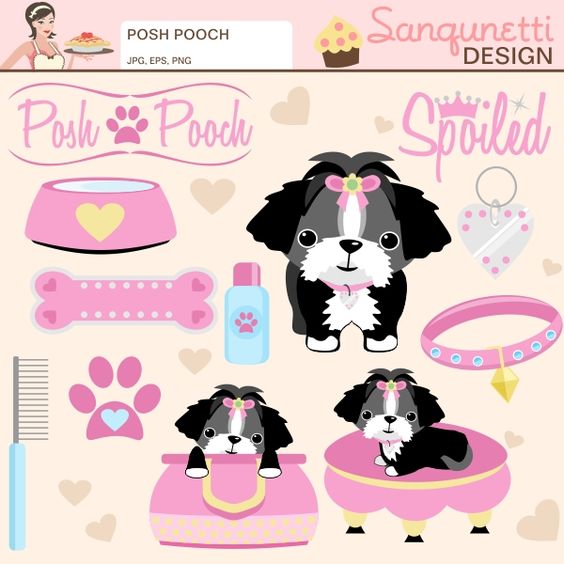 Description: Is your pooch spoiled? Then this set is for you