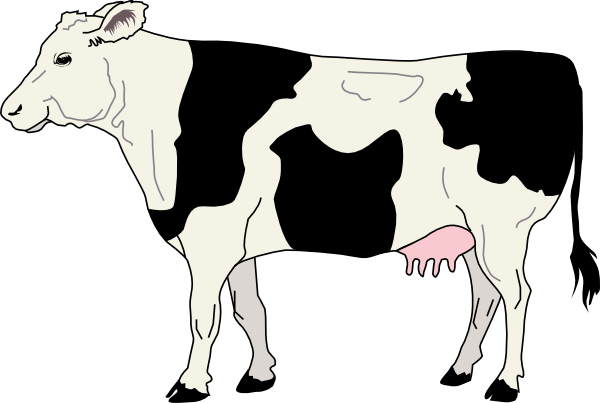 cow clipart simple - photo #42