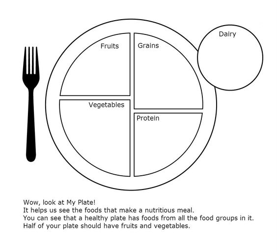 blank my plate diagram