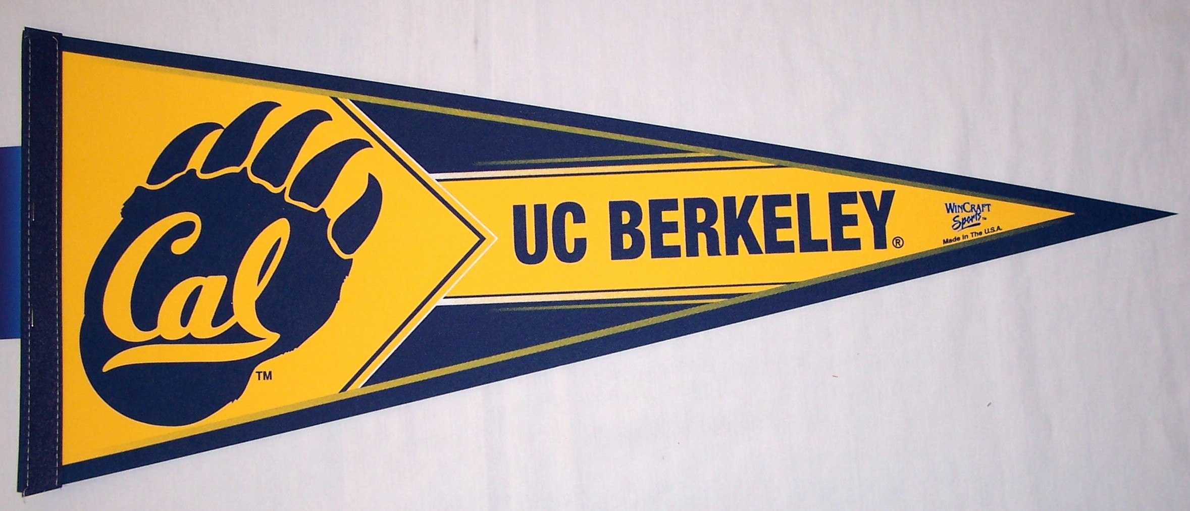 uc berkeley illustrator download