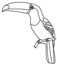 Animals For , Toucan Clipart Black And White