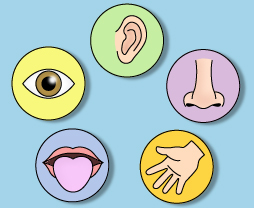 Sense Of Hearing Black Clipart 