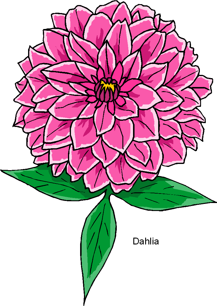 Free Dahlia Cliparts Download Free Clip Art Free Clip Art On Clipart Library