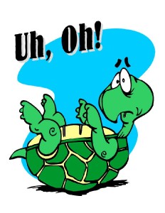 Custom Made T Shirt UH Oh Funny Whimsical Upside Down Turtle Cute