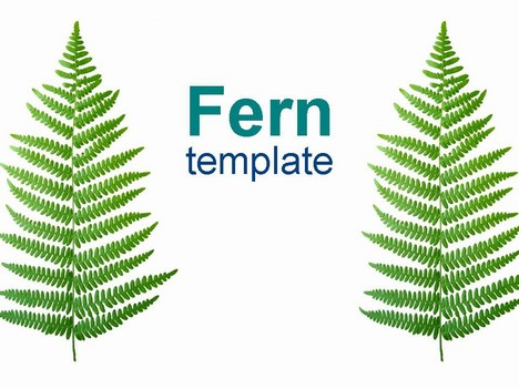 fern leaf clip art