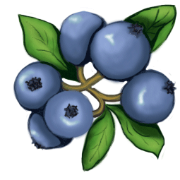 Blueberry Clipart Digital Blueberries Clip Art Printable Realistic Berries Berry Leaves Leaf Single Blueberry Muffin Box Images Graphics