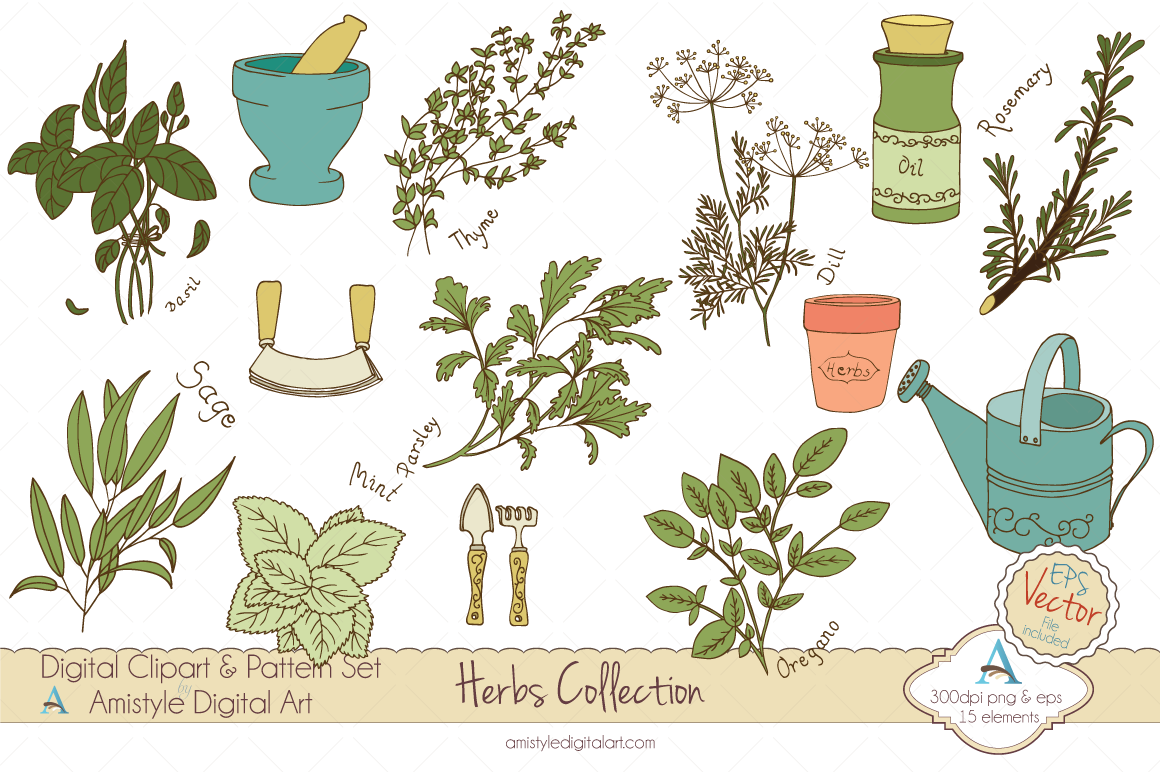 New Release: Herbs Collection Hand Drawn Clip Art and Vector Art