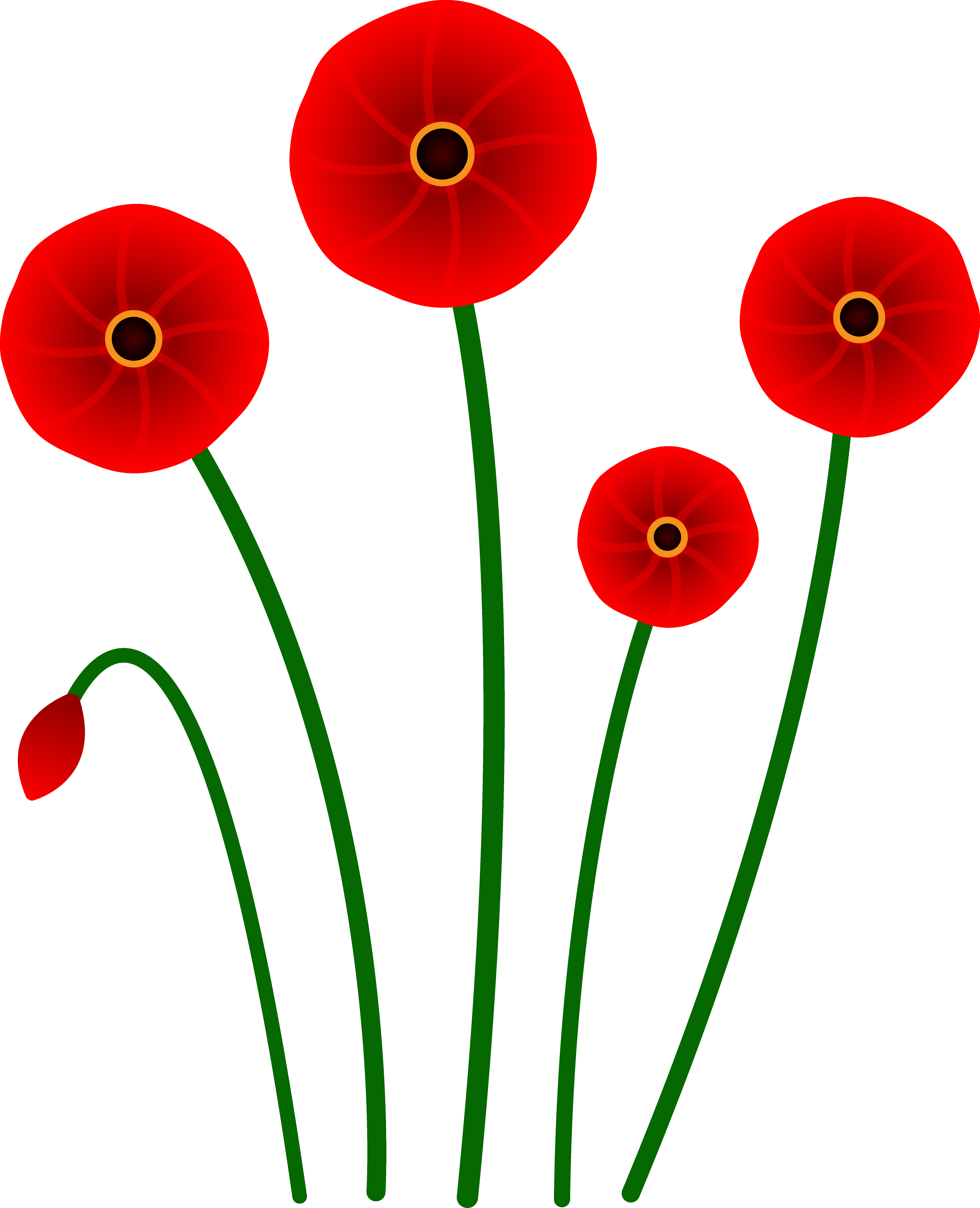 Single Poppy Flowers Clipart