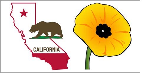 California Poppy Clip Art Clipart