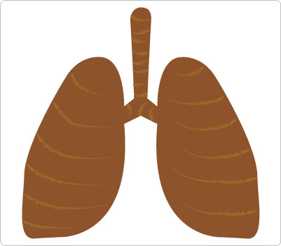 Lungs Medical Clip art