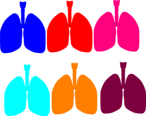 Lung Color Tika Clip Art