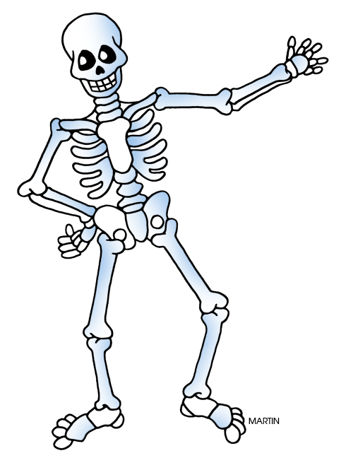 Free halloween skeleton clipart image