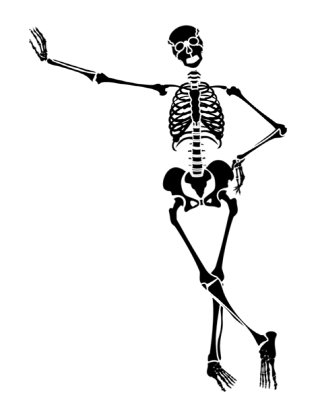 Skeleton clip art free clipart image image