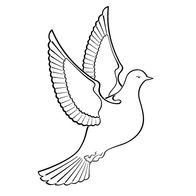 Dove clipart free vector image