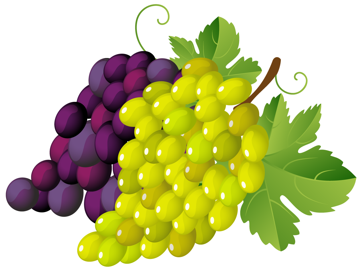 free clipart grapes black and white - photo #32