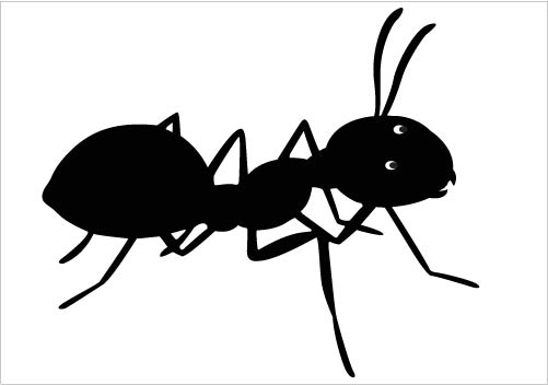 Ant clipart 3 image 