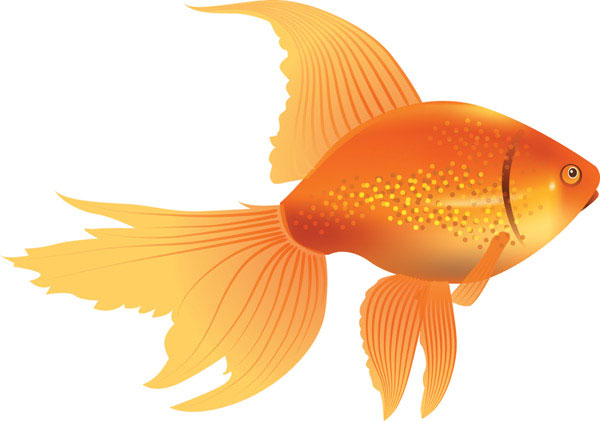 clipart goldfish crackers