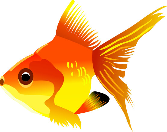 Goldfish Digital Art Clip Art