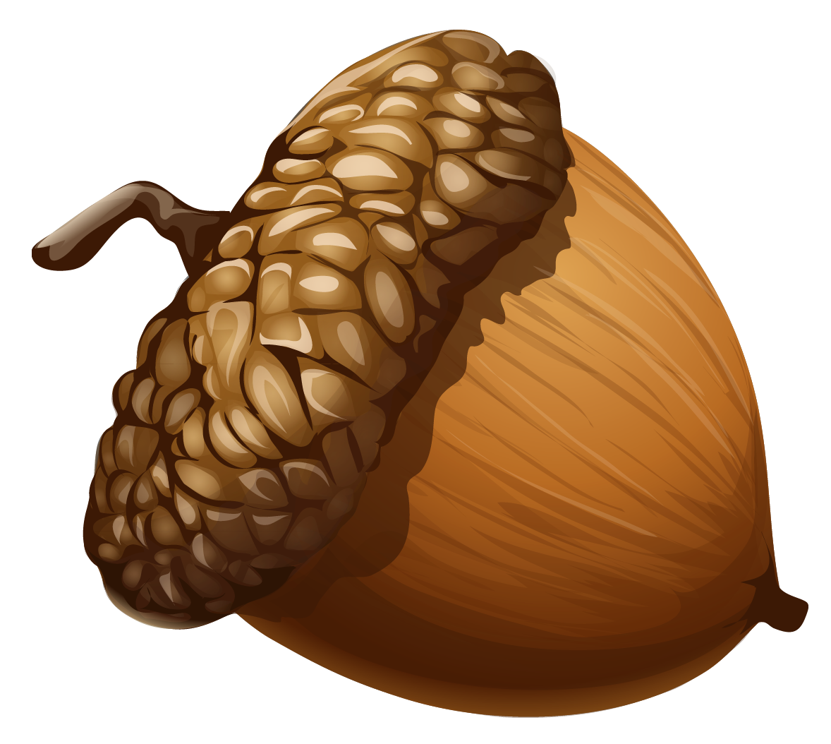 Free Acorn Cliparts Download Free Acorn Cliparts Png Images Free 