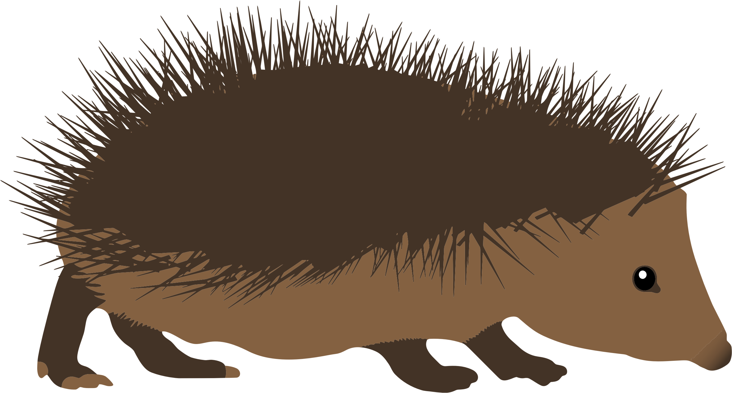african hedgehog clipart - photo #16