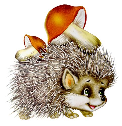 hedgehog pictures clip art - photo #33