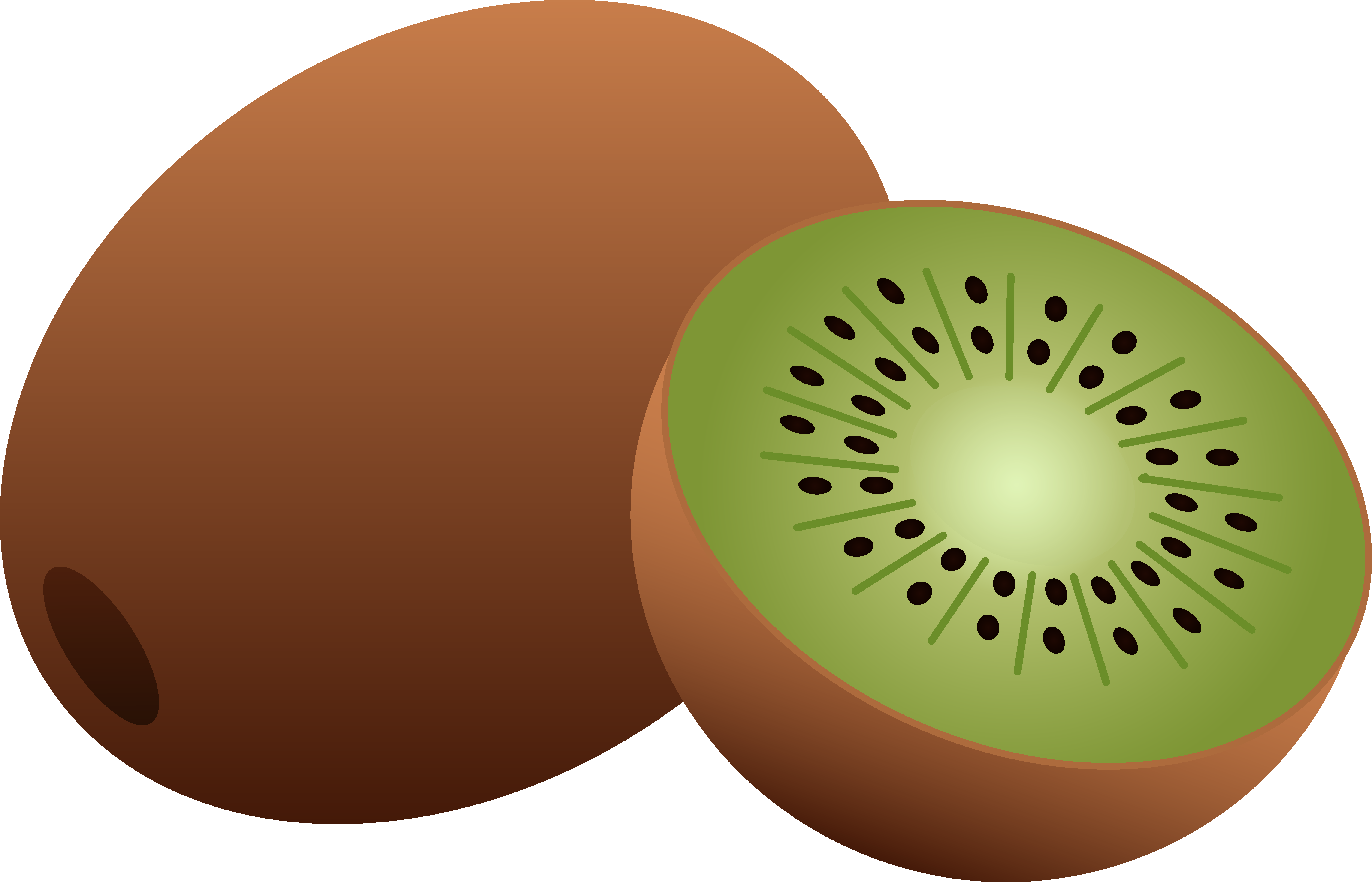 Free Kiwi Cliparts, Download Free Kiwi Cliparts png images, Free