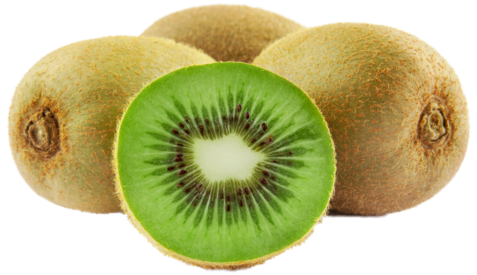 Free Kiwi Cliparts, Download Free Kiwi Cliparts png images, Free