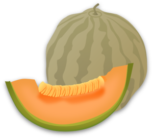 Featured image of post Melon Clipart Images Please use and share these clipart pictures with your friends