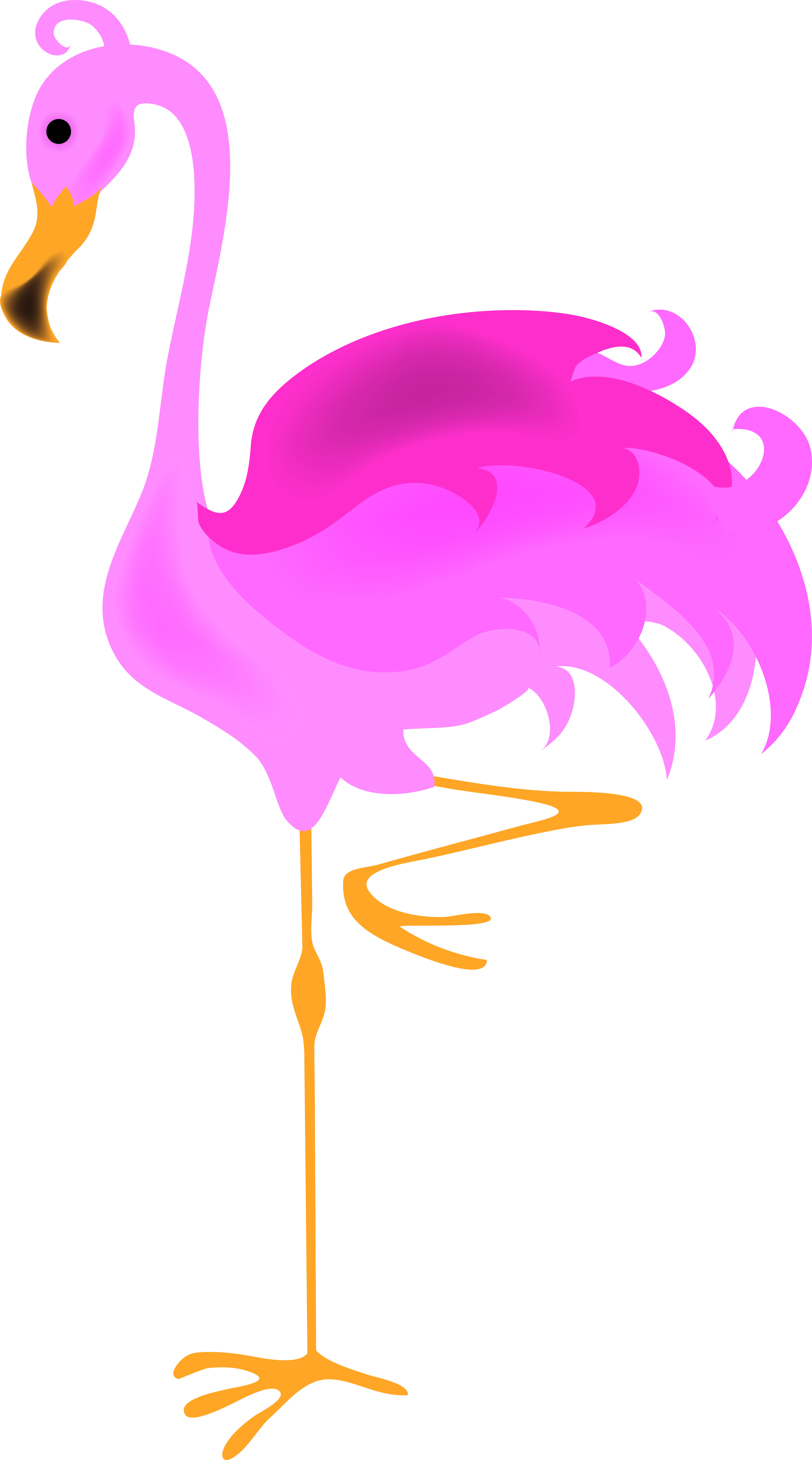 colorful flamingo clipart