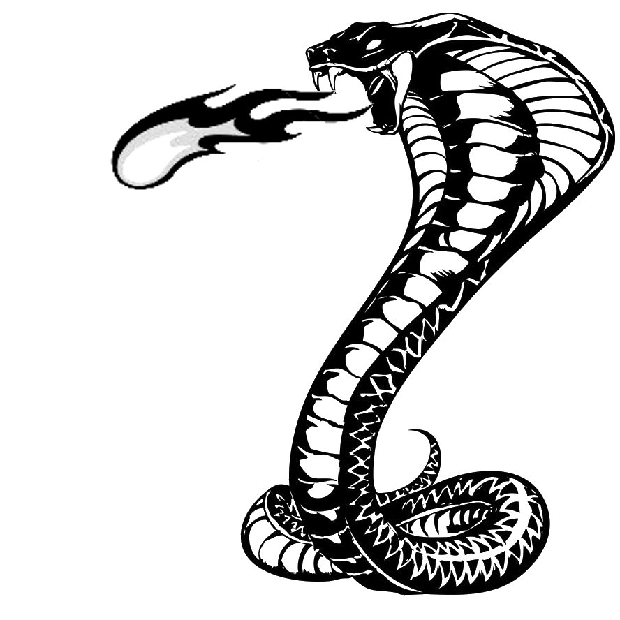Snake Cobra 