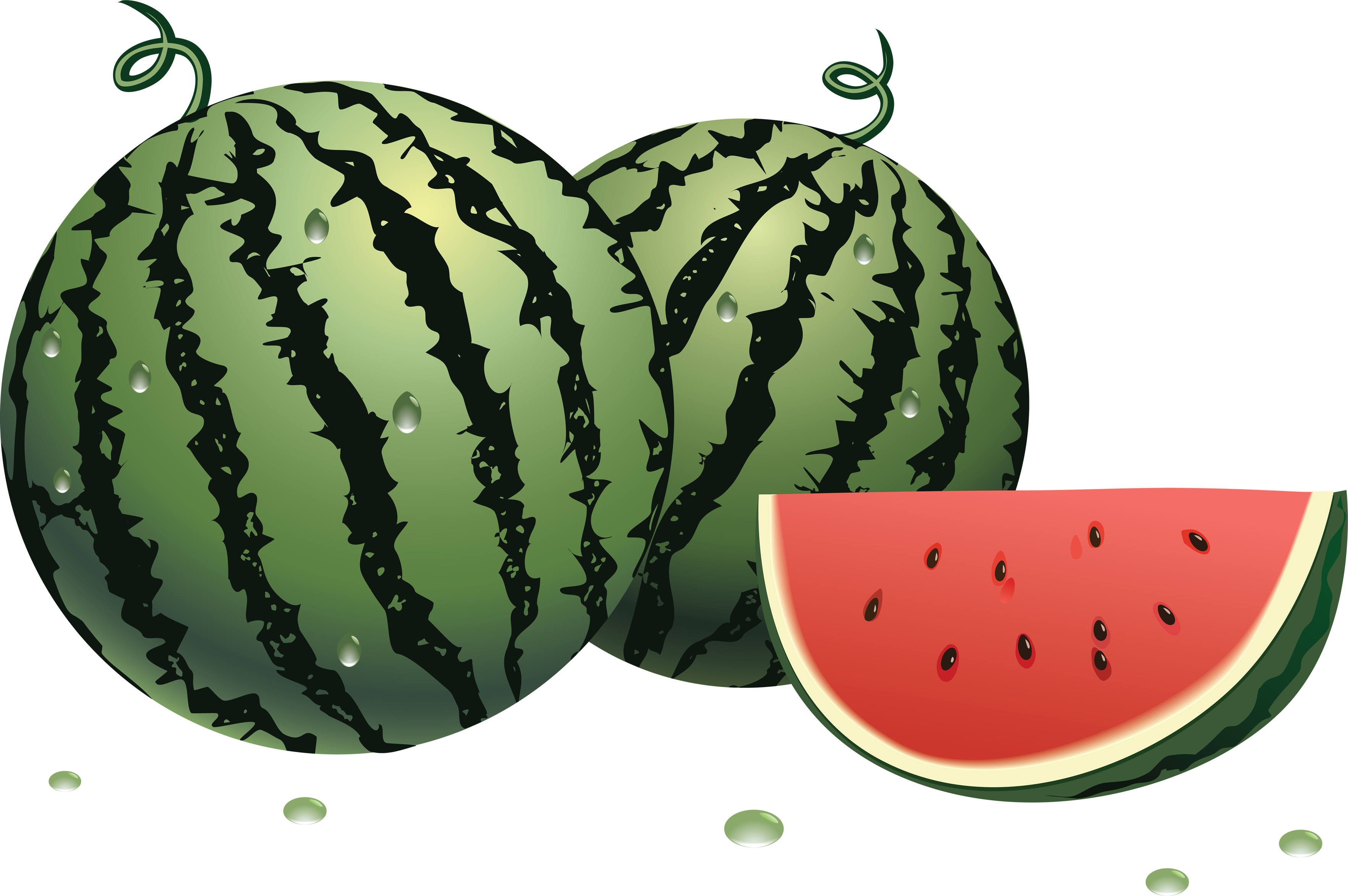 Watermelon 8 cliparts