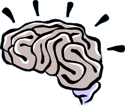 Free Brain Clipart Image