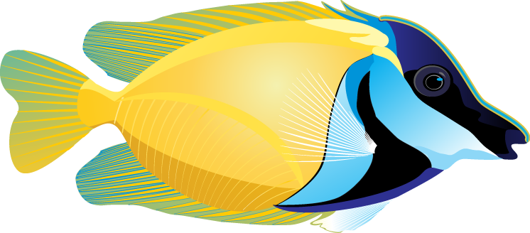 Tropical fish clipart