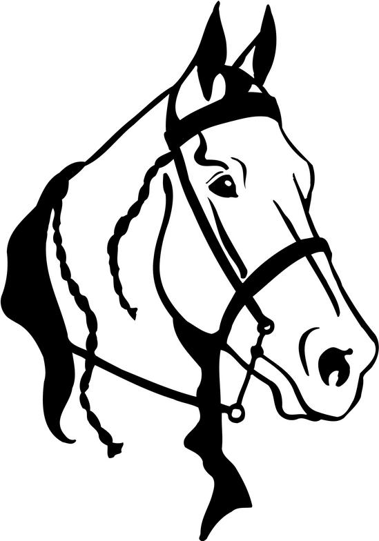 Clip art horse head clipart image 