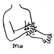 best shoo for itchy skin skin clipart free clip free clip on clipart library best shoo for itchy skin skin clipart free clip free clip on clipart library