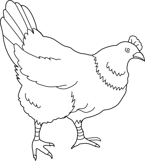 Cute hen clipart free clipart image image