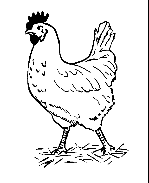 Little red hen clipart free clip art image image
