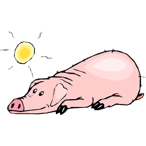 Pig Sunbathing Clipart Clipart Of Pig Sunbathing Free Download