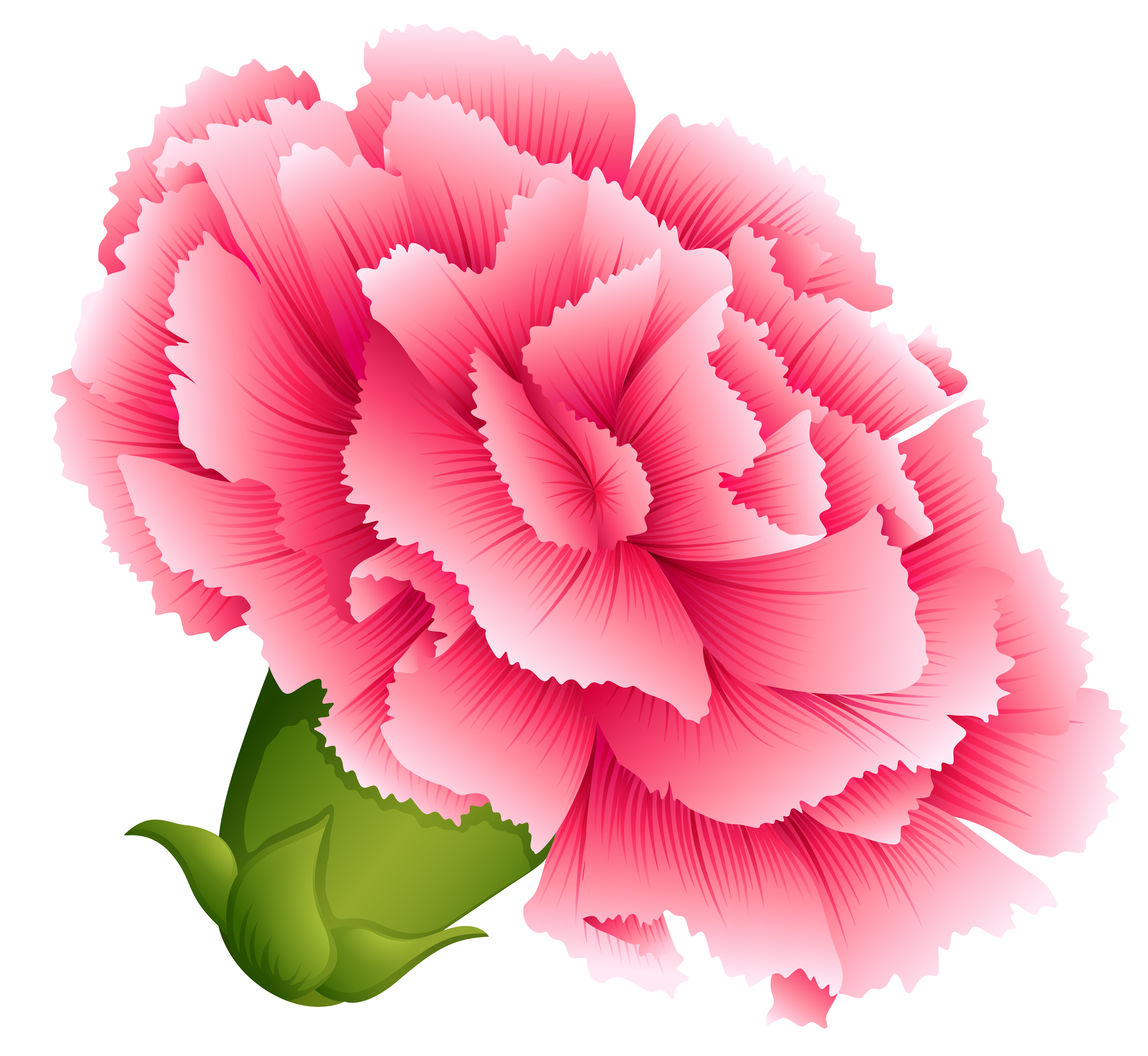 blue carnations clipart