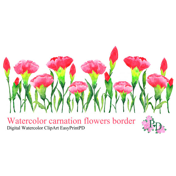 Watercolor Flowers clipart carnation border clip by easyprintPD 