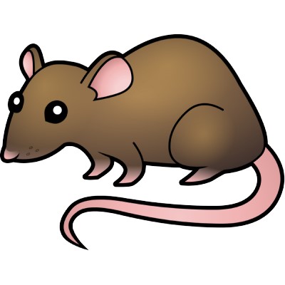 Cartoon Rat Clipart 