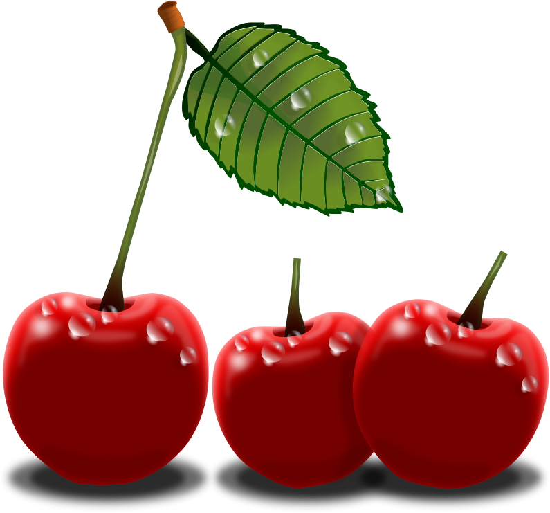 free clip art cherries fruit - photo #33