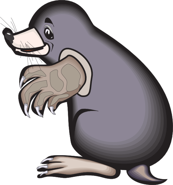Cartoon Mole Clip Art