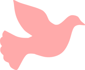 Pink Dove Clip Art