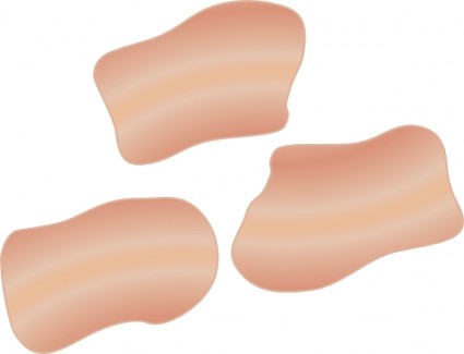Bacon clip art Free vector in Open office drawing svg